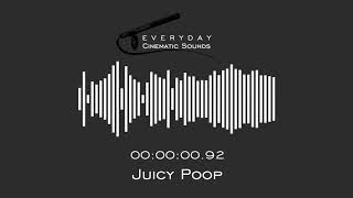 Juicy Poop  HQ Sound Effect [upl. by Kalb]