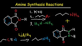 Amine Synthesis Reactions Organic Chemistry  Summary amp Practice Problems [upl. by Askwith]