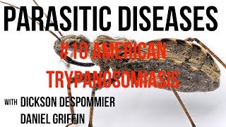 Parasitic Diseases Lectures 10 American Trypanosomiasis [upl. by Anitahs]