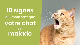 10 SIGNES QUI MONTRENT QUE VOTRE CHAT EST MALADE [upl. by Neelat653]