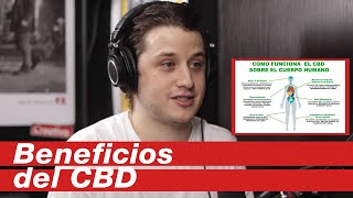 LOS BENEFICIOS DEL CBD [upl. by Nosreip]