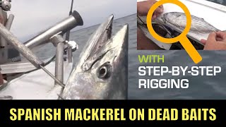 How to rig swimming baits for mackerel [upl. by Roxanna]