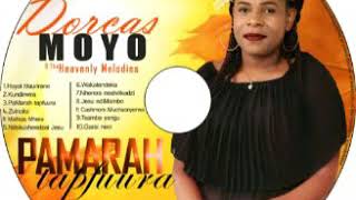 Ndokusheedzai Jesu by Dorcas Moyo [upl. by Nauqad]