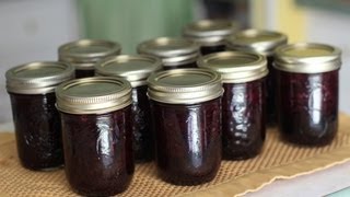 How to Make Blueberry Jam LOW SUGAR RECIPE [upl. by Aivilys723]