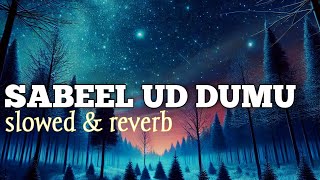 SABEEL UD DUMU slowed amp reverb [upl. by Westbrooke96]