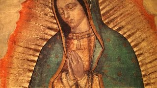 The Story of Our Lady of Guadalupe [upl. by Halik628]