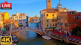 🔴 4K Live Cam of Ponte delle Guglie Venice  View from Hotel Leone Venezia  Live stream ライブカメラ [upl. by Markus567]