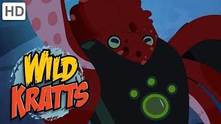 Wild Kratts 🌊 Water Animals Creature Powers 🦈  Kids Videos [upl. by Chemesh]