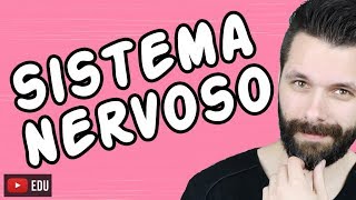 SISTEMA NERVOSO  FISIOLOGIA  Aula  Biologia com Samuel Cunha [upl. by Ramuk164]