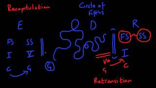 Sonata Form  The Recapitulation [upl. by Caraviello]