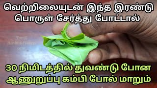 வெற்றிலையுடன் இந்த இரண்டு பொருளை சேர்த்து போட்டு பாருங்க 30நிமிடத்தில் குதிரை பலம் கிடைக்கும் [upl. by Cenac707]