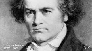 Ludwig van Beethoven Biography [upl. by Eelana]