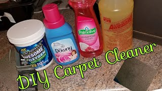 DIY Carpet Cleaner Dollar tree edition [upl. by Amle557]