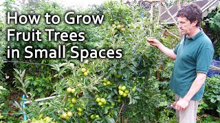 How to Grow Fruit Trees in Small Spaces [upl. by Farmelo861]