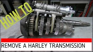 HOW TO REMOVE HARLEY DAVIDSON TRANSMISSION [upl. by Atiuqin359]