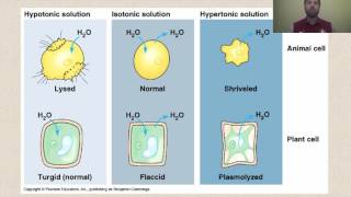 Types of Solutions [upl. by Alison]