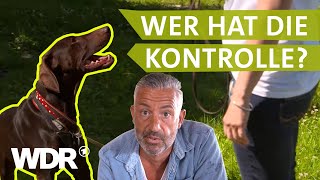 Endlich die Führung übernehmen  Hunde verstehen  S03E01  WDR [upl. by Verlie]