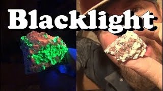 HOW TO FIND GOLD  Using a  BLACK LIGHT  ask Jeff Williams [upl. by Sheridan504]