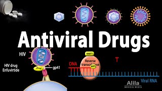 Antiviral Drugs Mechanisms of Action Animation [upl. by Wehhtam]