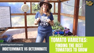 Tomato Types Indeterminate Tomatoes Vs Determinate Tomatoes [upl. by Ardnuahc]