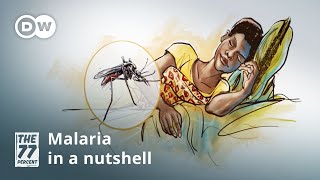 Malaria — Symptoms and treatment [upl. by Atiz]