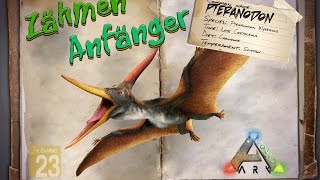 ARK‬ Survival Evolved GUIDEDeutsch  Pteranodon zähmen  für Anfänger [upl. by Niltyak]