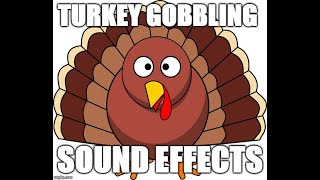 Turkey gobbling  Sound effects [upl. by Eerolam]