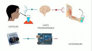 De quoi est composé un système automatisé [upl. by Letha]