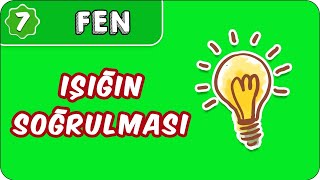 Işığın Soğurulması  7 Sınıf Fen evokul Kampı [upl. by Nahtnaoj491]