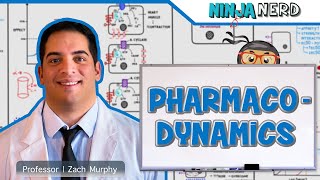 Pharmacodynamics [upl. by Annaihr]