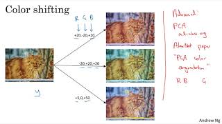 C4W2L10 Data Augmentation [upl. by Lu]