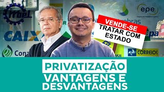 Privatização Vantagens e Desvantagens [upl. by Narbig193]