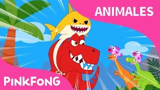 Tiburón Bebé  Rex  Animales  Dinosaurios  PINKFONG BabySharkSpanish [upl. by Neeham627]