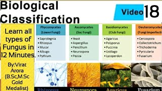 Types of fungus classification of fungiphycomycetesascomycetesbasidiomycetesdeuteromycetesNEET [upl. by Benedict]