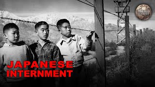 What Happened to JapaneseAmericans During WWII [upl. by Neeleuqcaj788]