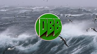 AronChupa  Im an Albatraoz Bass Boosted 1080p [upl. by Entwistle]