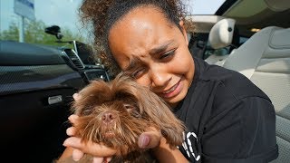 TIANA CRIED TIANAS PUPPY IS COMING HOME [upl. by Inalaehak]