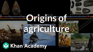 Origins of agriculture  World History  Khan Academy [upl. by Ecnesse]