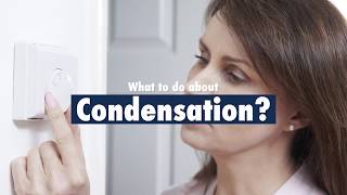 What To Do About Window Condensation [upl. by Esor380]