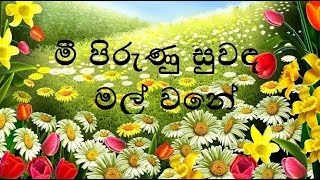 Mee Pirunu Suwada Mal Wane Karaoke  මී පිරුණු සුවඳ මල් වනේ [upl. by Orthman]