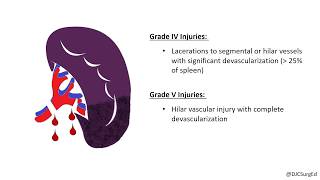 Splenic Injury [upl. by Leonardi]