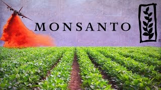 Monsanto The Company that Owns the World’s Food Supply [upl. by Sewoll686]