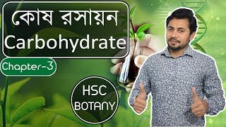 Cell Chemistry Part 1  Carbohydrate  HSC Botany Chapter 3 [upl. by Yreffeg]