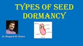 Types Of Seed Dormancy [upl. by Dash612]