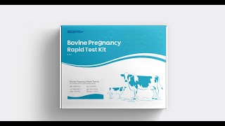 Bioeasy Bovine Pregnancy Rapid Test Kit [upl. by Anilev399]