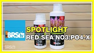 Using Red Sea NOPOX for a biological approach nutrient control  BRStv Spotlight [upl. by Namzaj]