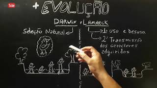 Darwin e Lamarck  EVOLUÇÃO  Resumo Completo [upl. by Eillom]