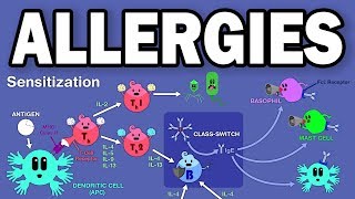 ALLERGIESTYPE I HYPERSENSITIVITY [upl. by Ephrem]