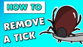 How to Remove Ticks from Dogs [upl. by Reifinnej372]