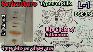 SericultureLifecycle of Silkworm L1Types of Silkरेशम कीट का जीवन चक्रBSc Part3By Dr Kumud [upl. by Adalbert760]